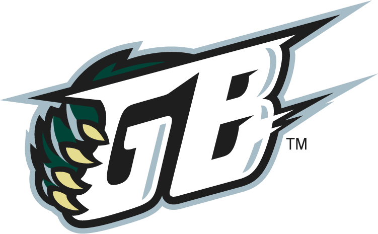 Green Bay Blizzard 2010-2014 Alternate Logo v2 iron on transfers for T-shirts